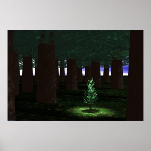 Saplen Poster (Voorkant)