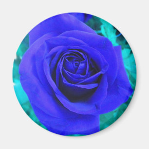 Sapphire Blue Roos magnet Magneet