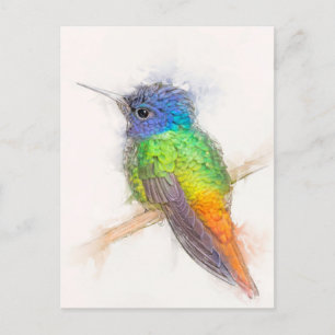 Sapphire Hummingbird Portrait Briefkaart