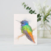 Sapphire Hummingbird Portrait Briefkaart (Staand voorkant)