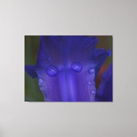 Sapphire Serenity Canvas Afdruk (Voorkant)