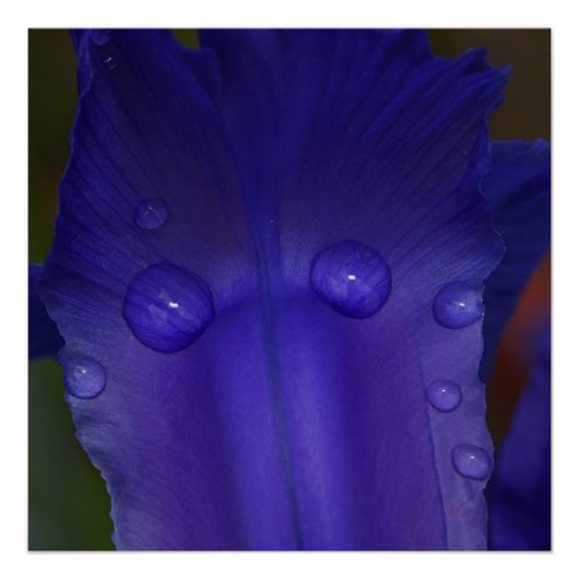 Sapphire Serenity  Perfect Poster (Voorkant)