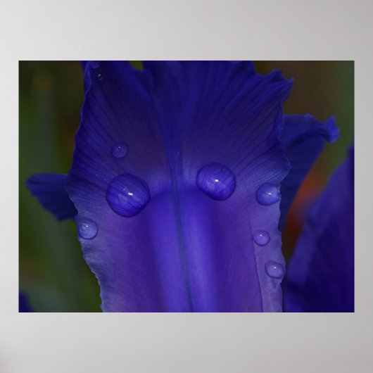 Sapphire Serenity Poster (Voorkant)