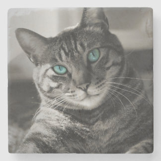 Sapphire Soul Stille Blik Tabbykat Portret Steen Stenen Onderzetter