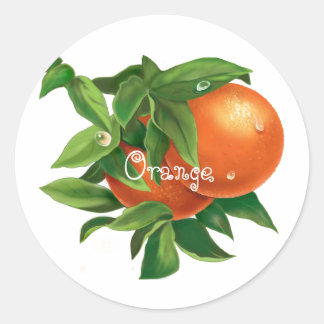 Sappig oranje sinaasappel met waterdruppels ronde sticker