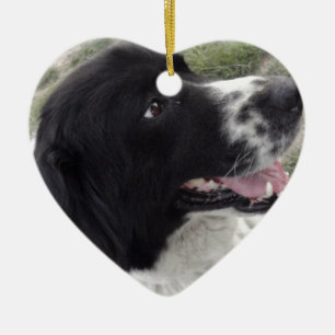 Sara Bulgaria Shepherd Dog Keramisch Ornament