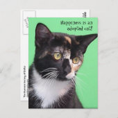 Sara - Le bonheur est un chat adopté ! Carte posta (Devant / Derrière)