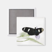 Sara Magnet Magneet (Voorkant / Achterkant)