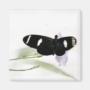 Sara Magnet Magneet