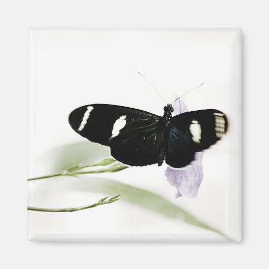 Sara Magnet Magneet (Voorkant)