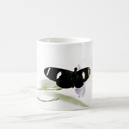 Sara Mug (Centre)