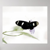 Sara Print (Voorkant)