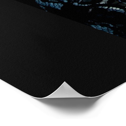 Sarah Palin Poster (Hoek)