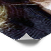 Sarah Palin Posters (Hoek)