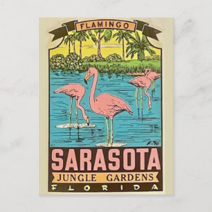 Sarasota Flamingo Kaart