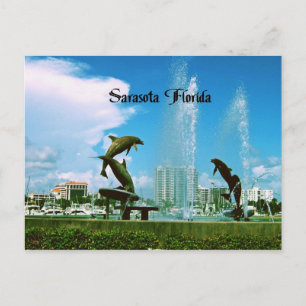 Sarasota Florida Briefkaart