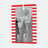 Sarasota Zee paard Ornament (Voorkant links)