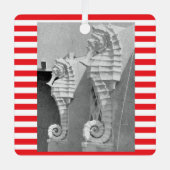 Sarasota Zee paard Ornament (Voorkant)