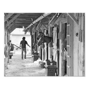 Saratoga Shedrow in Horse Haven Foto Afdruk