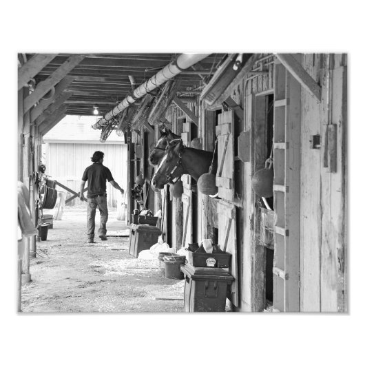 Saratoga Shedrow in Horse Haven Foto Afdruk (Voorkant)