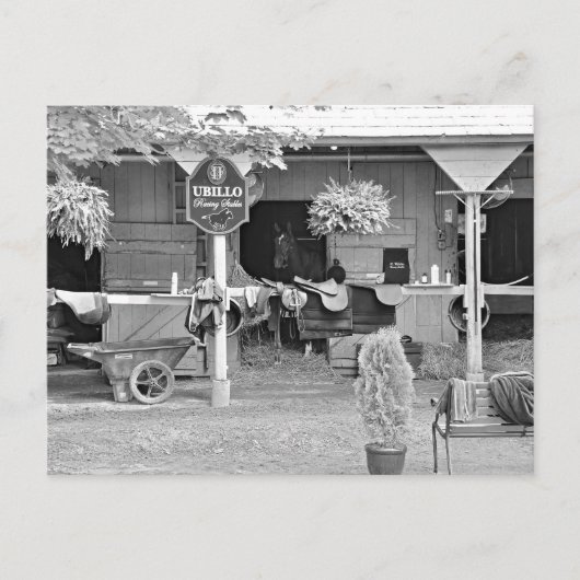 Saratoga Stables "Horse Haven" Briefkaart (Voorkant)