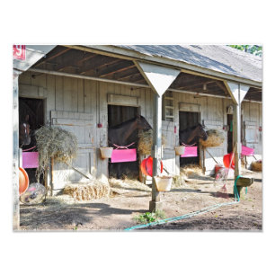 Saratoga Stables "Horse Haven" Foto Afdruk