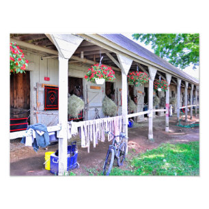 Saratoga Stables "Horse Haven" Foto Afdruk