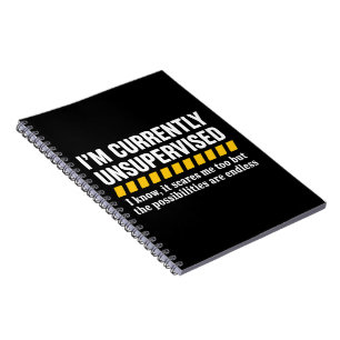 Sarcastische Vader Vaderdag Momenteel Onbegeleid Notitieboek