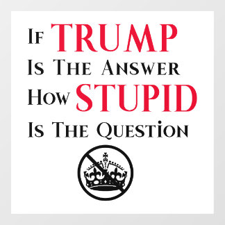 Sarcistische anti-Trump protestverklaring Raamsticker