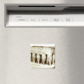 Sarcophagus Magneet (Insitu (Vaatwasser))