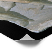 Sarcophagus Poster (Hoek)