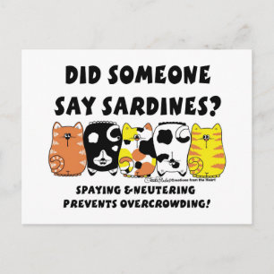 sardinekatten briefkaart