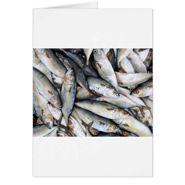 Sardines (Devant)