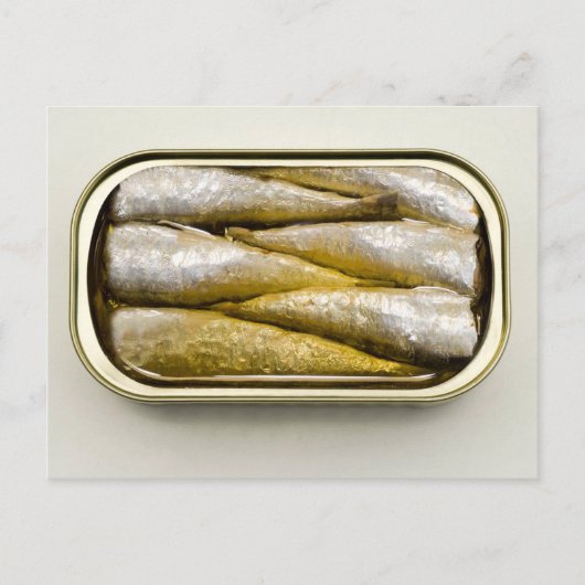 Sardines in blik briefkaart (Voorkant)
