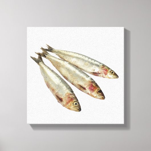 Sardines (loods) canvas afdruk (Voorkant)