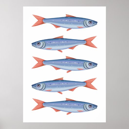 Sardines Poster (Voorkant)