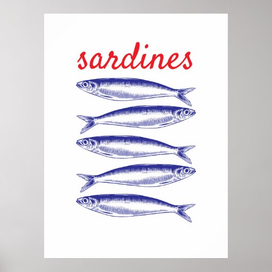 Sardines Poster (Voorkant)