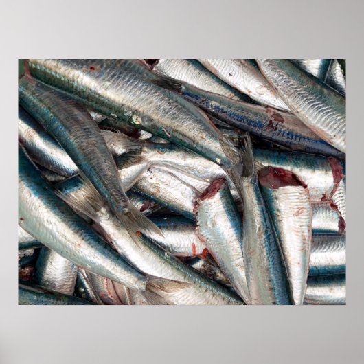 sardines, vers poster (Voorkant)