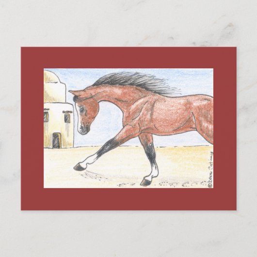 "Saree bint Sehkit" Briefkaart (Voorkant)