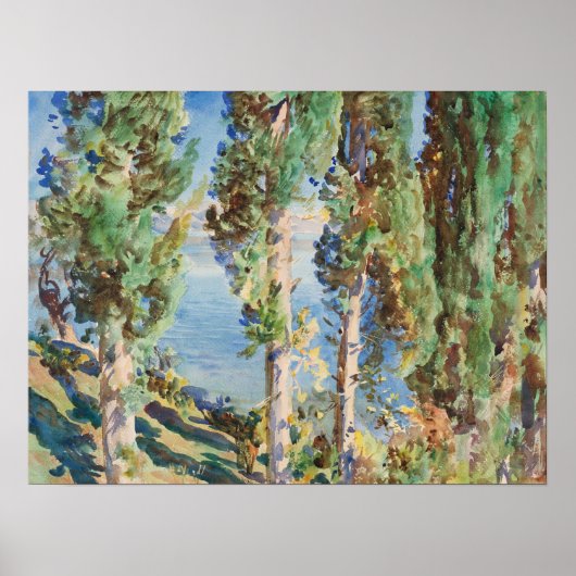 Sargent - Cipressen Poster (Voorkant)