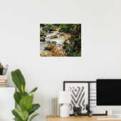 Sargent - Trout Stream in Tirol 1914 Poster (Thuiskantoor)