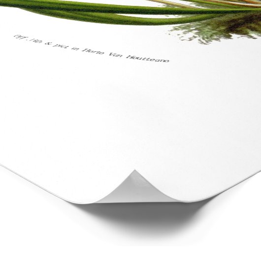 Sarracenia rubra poster (Hoek)