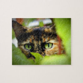 Sasha Legpuzzel