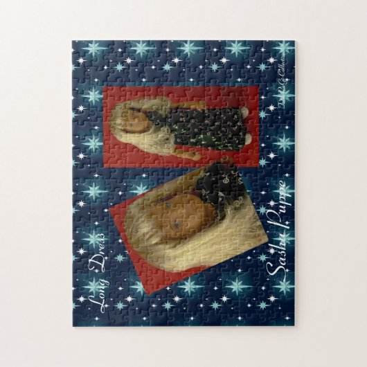 Sasha Poupée Puzzle Robe longue (Vertical)