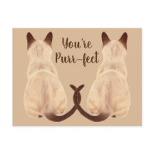 Sasha Siamese Cat Lover Back Uitzicht Je bent purr