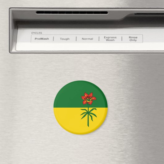 saskatchewan magneet (Insitu (Vaatwasser))