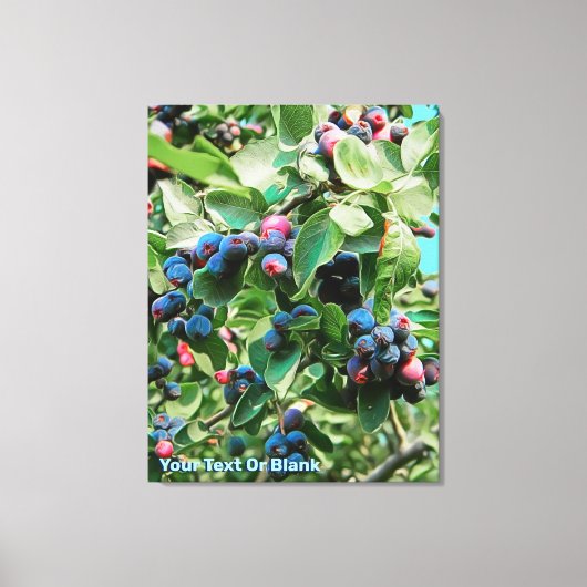 Saskatoon Canvas Afdruk (Voorkant)