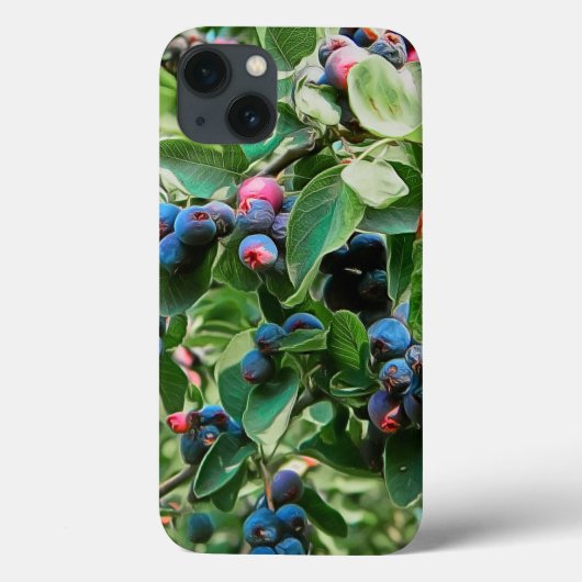 Saskatoon Case-Mate iPhone Case (Achterkant)