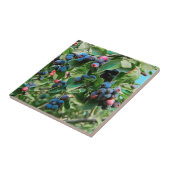 Saskatoon Tegeltje (Zijkant)