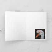 Saskia la carte cygne (Intérieur)